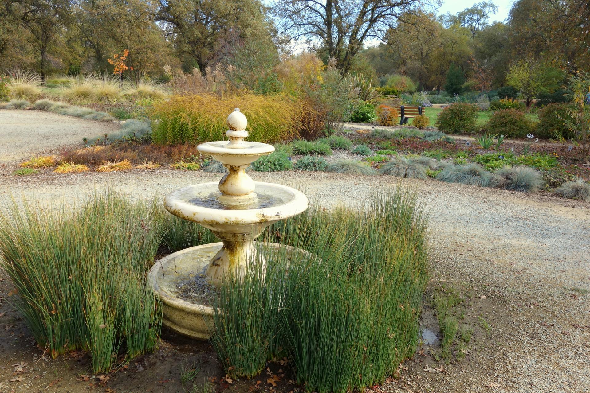 McConnell Arboretum, Redding California
