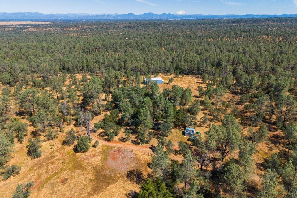 25350 Buffalo Drive